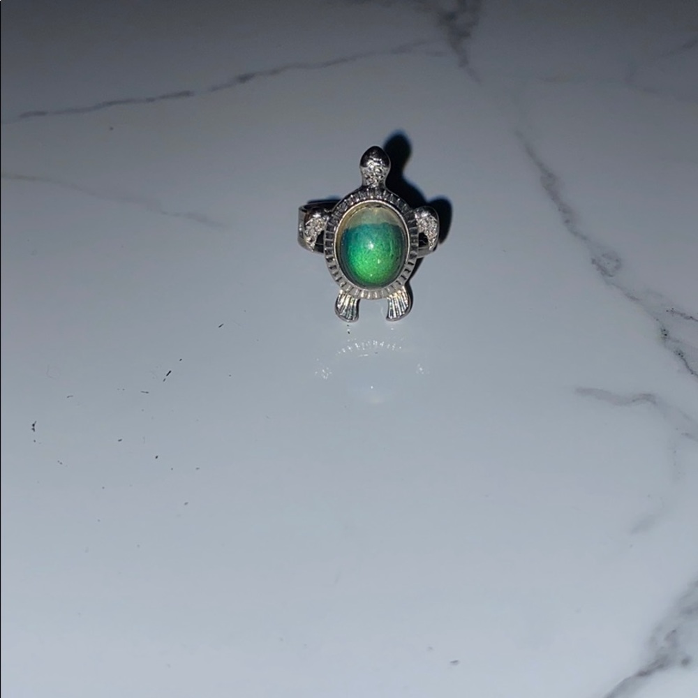 FINAL PRICE Turtle mood ring